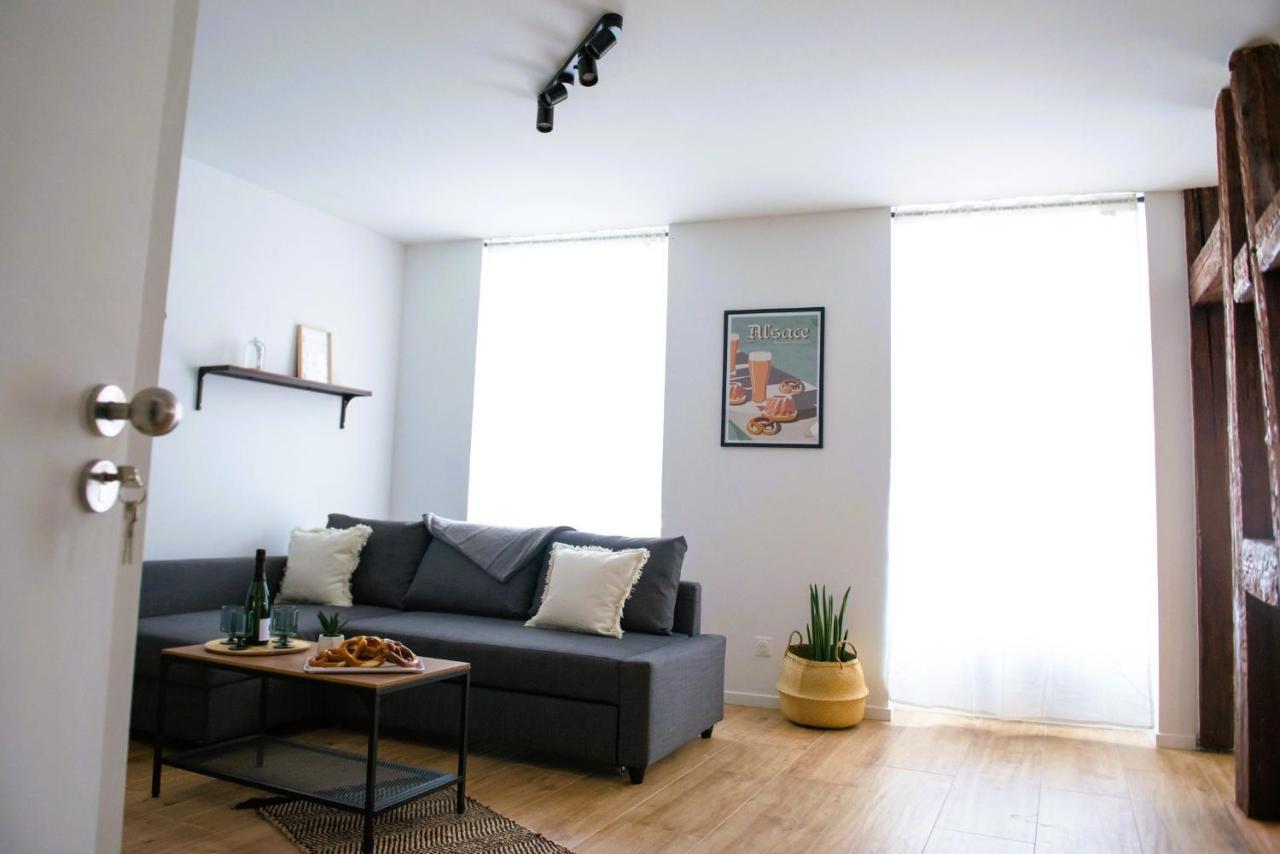 La Pomme Du President I Apartman Sélestat Kültér fotó