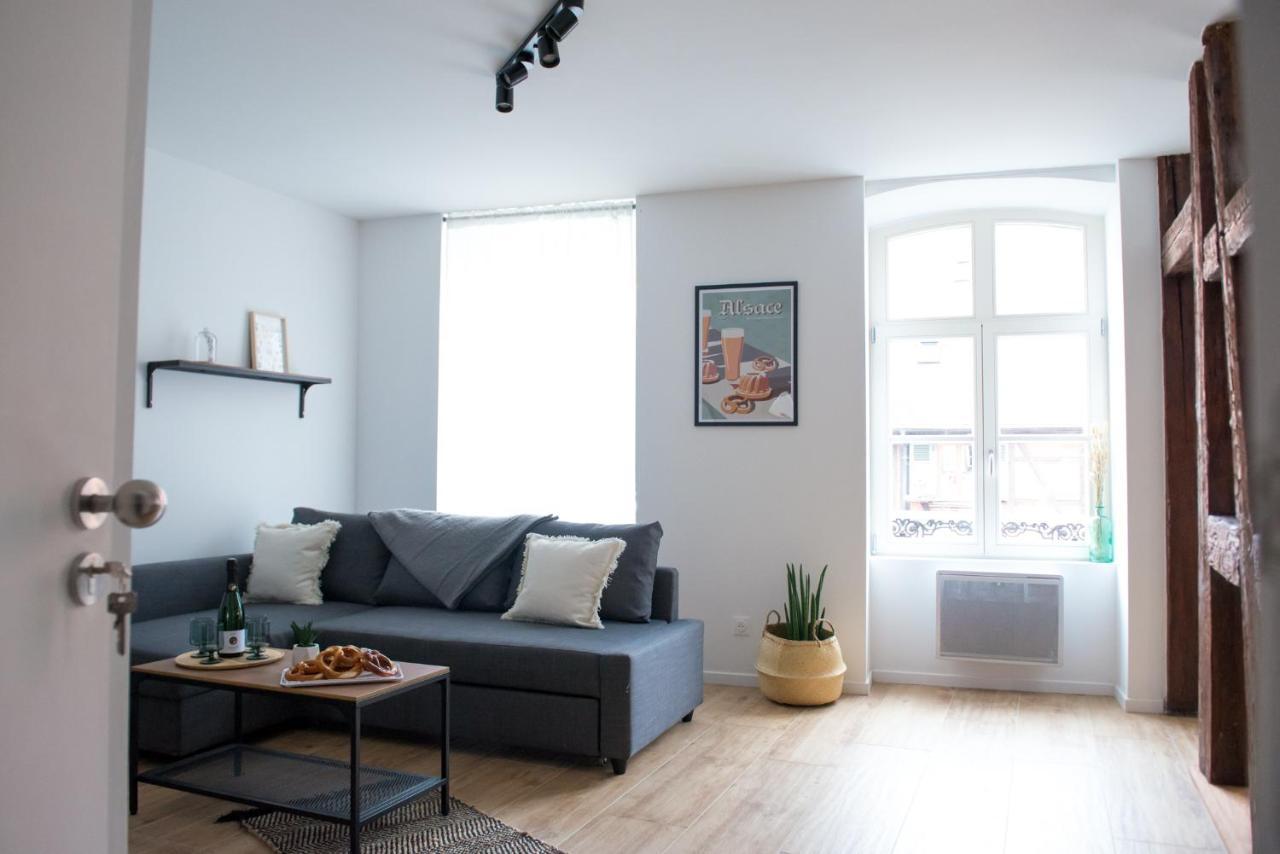 La Pomme Du President I Apartman Sélestat Kültér fotó